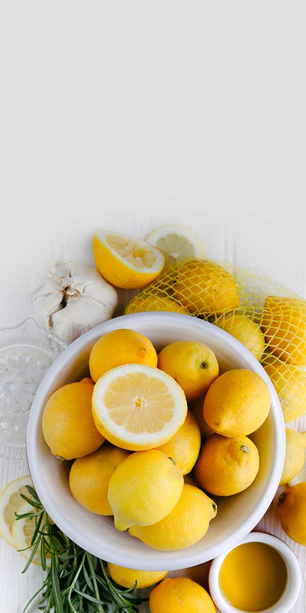 Florida’s Roadmap to Healthy Living – Interactive Map Portal Application